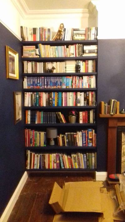Alcove bookshelves filled with books in blue room